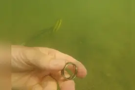 男子用金属探测仪潜水探宝，找到硬币和戒指！图片