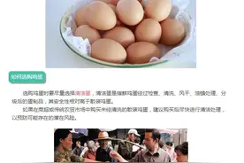高于25℃天气鸡蛋保质期是多少天？鸡蛋怎么吃最健康？小in告诉你图片