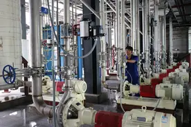 网媒聚焦青冈：青冈依托龙头企业调结构促增长图片