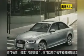 身材高大要求操控 选奥迪A4L还是福特蒙迪欧？