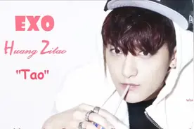 EXO wuli韬黄子韬舞台失误萌点搞笑视频合集视频封面