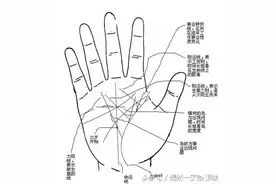手相已经决定了你的一生图片