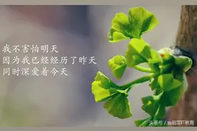 Android开发中你的标题栏够逼格吗？如何才能够逼格呢？图片