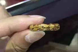 戒指见过不少，你见过金刚DIY的戒指吗？图片