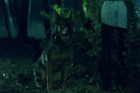 小狗为父亲报仇，咬瞎日本鬼子，难得一见！图片