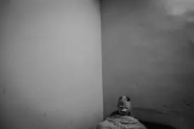 戴面具的男孩图片