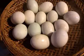 受精鸭蛋，你敢吃吗？ 吃了不会怀孕吧？图片