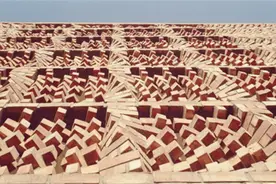 板砖还是可以这样玩的，这么玩板砖，你认同不？图片