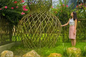 精美的造型紫薇树图片