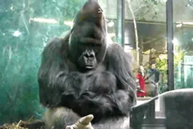 爆笑GIF：自带淋浴功能的宝宝图片