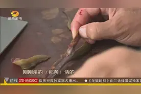 野生黄鳝体内“白虫”扎堆，肉眼可见谁敢吃？图片