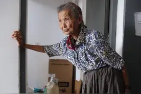 78岁老太太和流浪狗相依为命 邻居直呼难以忍受图片