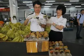 神马鬼 | 10万1只的奇葩昆虫宠物图片