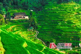 湖南各市州开展景区整治行动 数家景区暂停营业图片