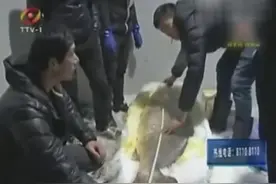 浙江现1.69米长黄唇鱼，身价达上百万元！