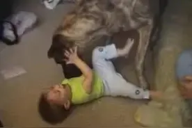 大狗狗给用嘴小主人挠痒痒，逗得小主人爆笑，好可爱图片