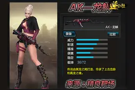 全新龙鳞系列武器枪械性能解读—AK篇图片