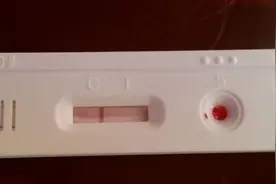艾滋病试纸自测 不加稀释液会影响准确率吗图片