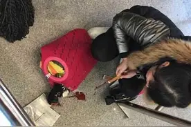 乘客带活鸭安检被拒 引导比拒绝更有效图片