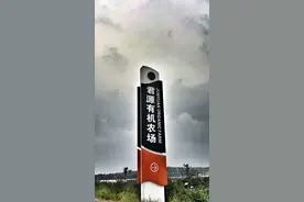 哗啦啦啦下雨啦，素素饭局开张啦图片
