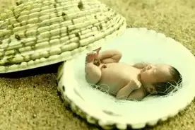 孕7周，你需要知道这些知识~图片