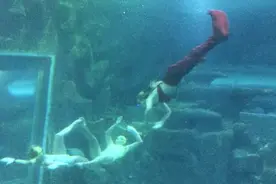 长沙海底世界恐怖美人鱼图片