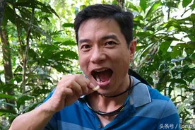 这很蛋白质，贝爷请李彦宏吃虫子之旅已经开始图片