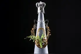 号称是水中皇族，世界上最贵的矿泉水，长这样！图片