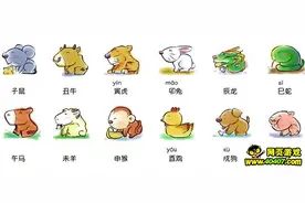 40407：造梦西游4新宠物坐骑 十二生肖系列更新前瞻图片