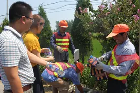 宝应抢抓414省道养护工程工期图片