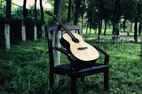 顽强的“小草”不止一种歌颂！吉他弹唱！图片