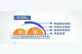 辽宁省玉米补贴明细出台 总资金59.9亿图片