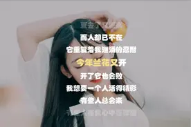 终于找到抖音原版《去年夏天》，好听到单曲循环，耳朵已经怀孕了