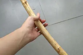 直播？卢娜魔杖制作，学习自己动手图片