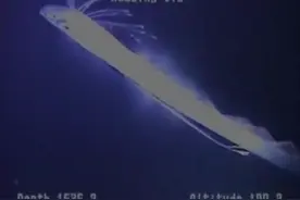 墨西哥湾深海发现巨型怪鱼！这个怪鱼太奇特了！图片