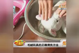 毛绒玩具脏了只能扔掉吗？才不是！只需要这个，让它们干净如新！