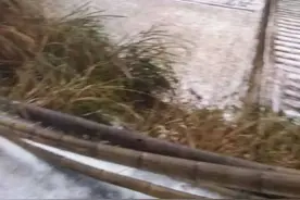 梅州下雪了，带你走进梅州的冰雪世界图片