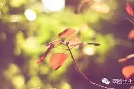 生日那天碰到前男友和老公，左或右，女人心沉沉浮浮图片