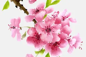 生来面带桃花又富贵的3大生肖，不缺好运！图片