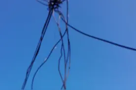 车厢忘放下刮断电缆线 司机遭电击身亡图片