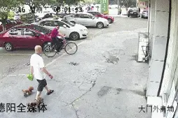 气愤！偷狗贼跟踪遛狗者 监控拍下偷狗瞬间图片