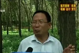 杨树树叶大面积被吃 林业专家现场查看图片