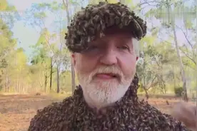 揭秘，蜜蜂爬满全身不会被蜇图片