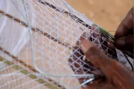 大爷老工艺制作捕鱼笼，放到水中抓鱼！图片