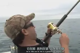 澳洲行之钓鲨鱼_图片