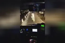 网友: 人贱自有天收！看到最后我就放心了图片