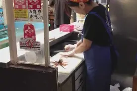 实拍小馆子​活杀鱿鱼做刺生，还会动呢，你敢吃么图片