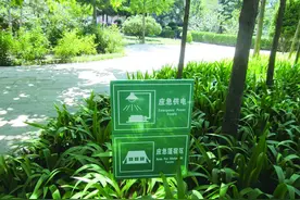 沧口公园昨日通过认定 获评Ⅰ类地震避难场所图片
