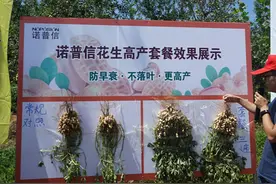 套餐能让一亩地花生增产120%？图片