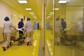 瓠子瓜秒变“毒药” 石家庄一家三口“吃”进医院 这些常见食物有可能“最”毒！图片